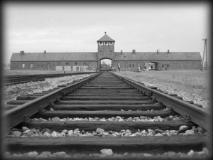 auschwitz4