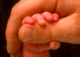 Hands
